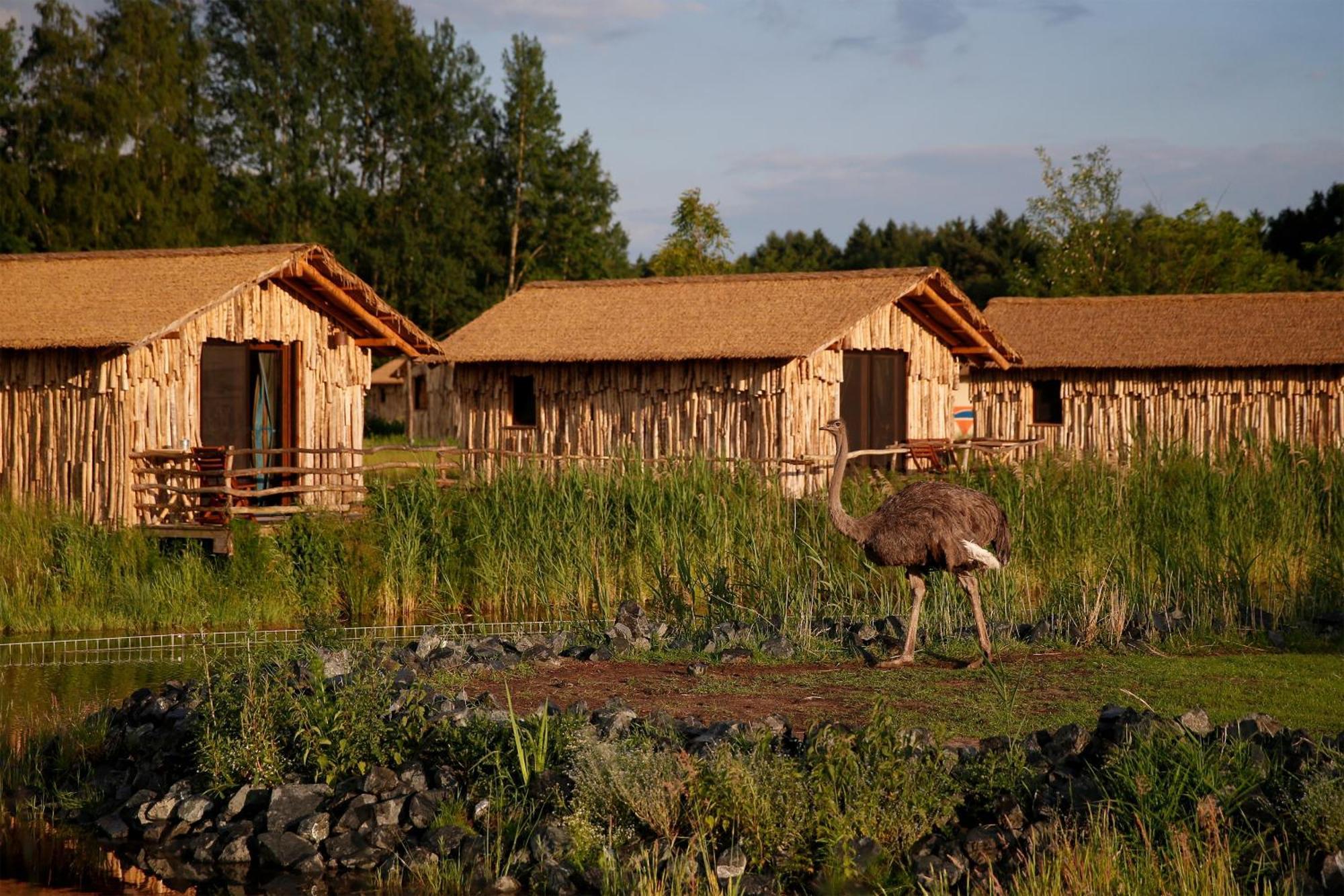 Serengeti Park Resort Ходенхаген Екстериор снимка