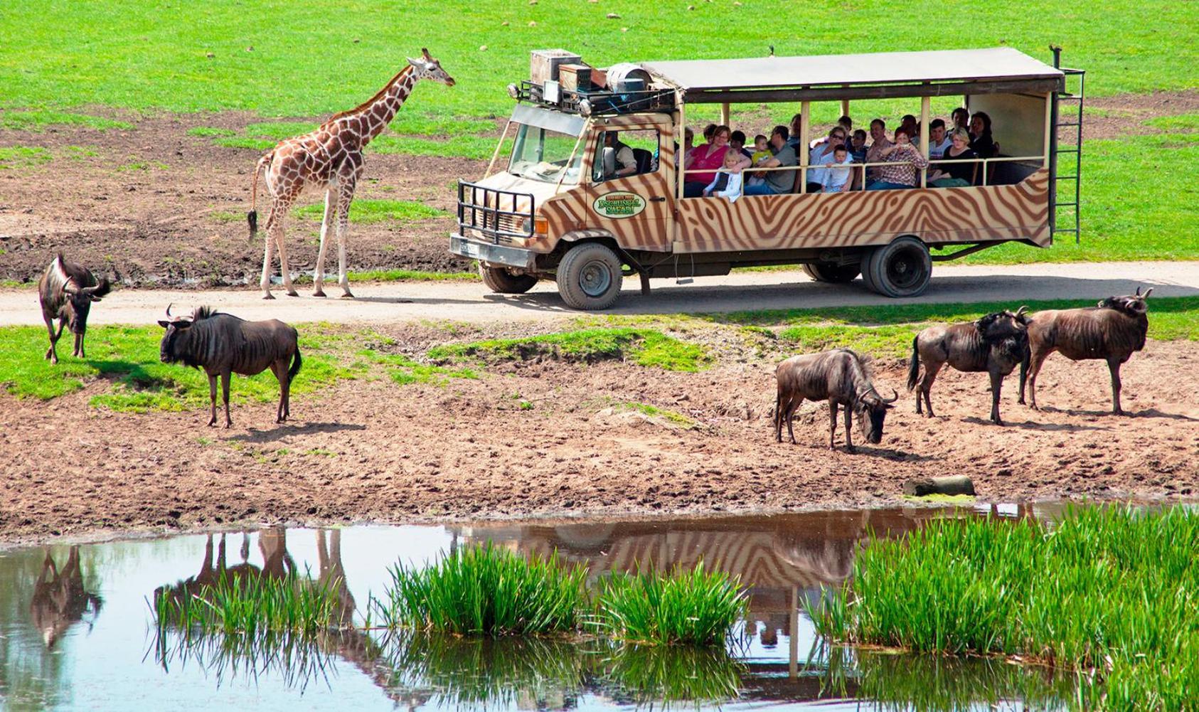 Serengeti Park Resort Ходенхаген Екстериор снимка